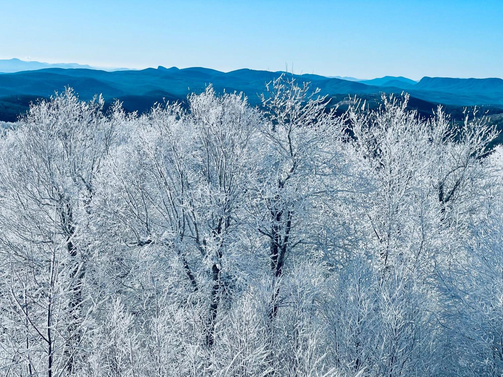 Bucket List Views Sugar Mountain Private Condo - 2Bed, 2Bath, Sleeps 6, Panoramic Views Of Mountains From Large Deck, Short Drive To Shopping, Restaurants, Cafes & Banner Elk Town 外观 照片